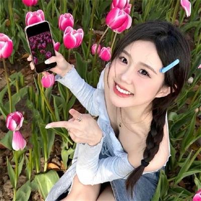鳄鱼先生